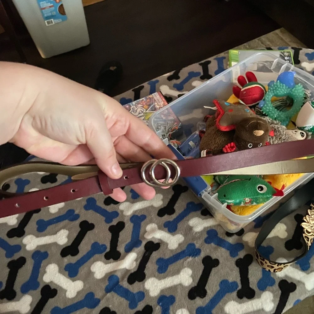 Belt - Picture 2 of 2